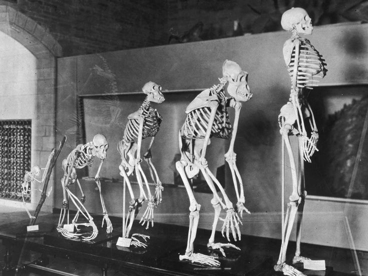 Big Bang Image Image